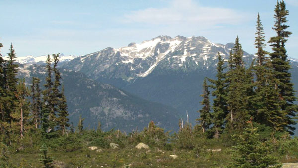 Bavarian Home Page image of mountains and pine trees